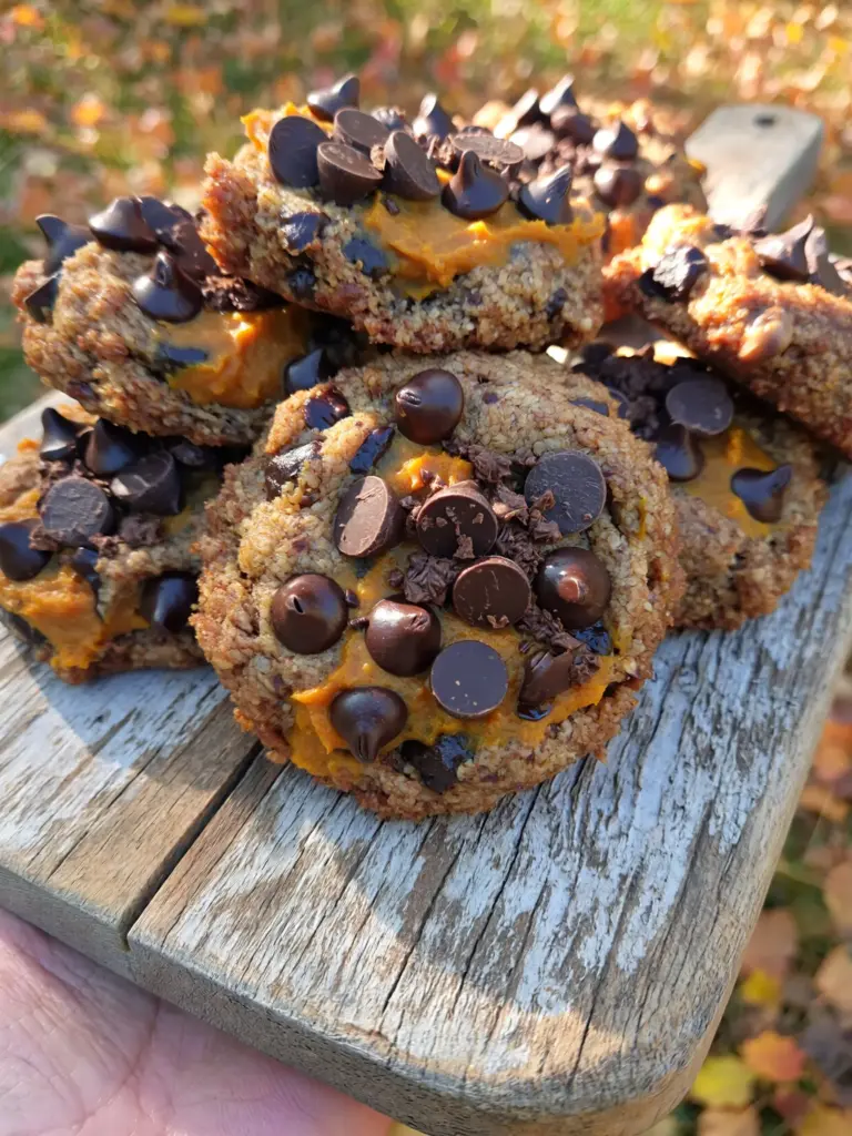 Keto Chocolate Chip Pumpkin Cookies