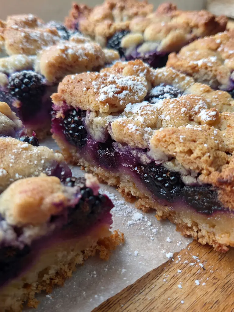Blackberry Crumble Bars